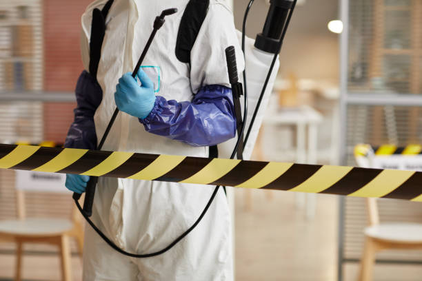 Professional Blood Cleanup technician working in Morongo Valley, CA